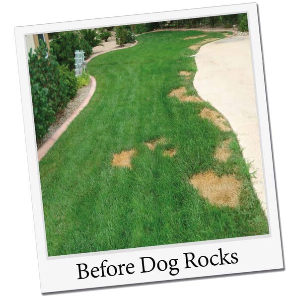 Dog Rocks Anti-Urine Stains Rocks for Dogs