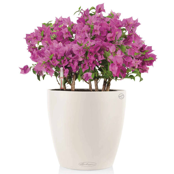 LECHUZA Planter Classico Color 35 ALL-IN-ONE White 13210