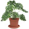 Product Thumbnail Image 3 of 12