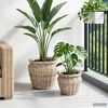 Product Thumbnail Image 3 of 9