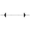 vidaXL Barbell with Plates Set 30 kg Cast Iron