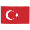 vidaXL Turkey Flag and Pole 5.55 m Aluminium