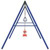 vidaXL Outdoor Swing Set with Swings and Trapeze