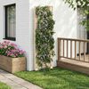 Product Thumbnail Image 2 of 7