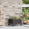 Product Thumbnail Image 2 of 8