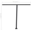 vidaXL Freestanding Manual Retractable Awning 300x250 cm Anthracite