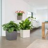LECHUZA Planter CUBE 30 ALL-IN-ONE Charcoal Metallic