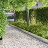 Product Thumbnail Image 2 of 9