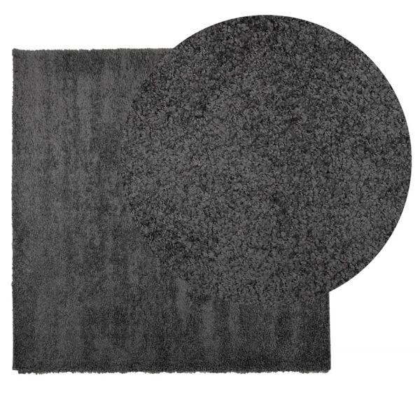 vidaXL Shaggy Rug PAMPLONA High Pile Modern Anthracite 240x240 cm