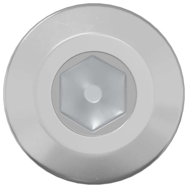 vidaXL Screw 2 pcs Silver M6 x 85 mm Steel