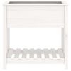 vidaXL Planter with Shelf White 82.5x54x81 cm Solid Wood Pine