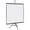 vidaXL Projection Screen with Tripod 81 Inch 1:1