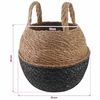 Product Thumbnail Image 6 of 6