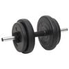 vidaXL Barbell and Dumbbell Plates 60 kg