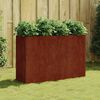 vidaXL Garden Raised Bed 120x40x80 cm Corten Steel