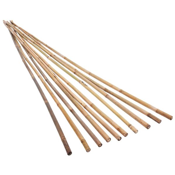 vidaXL Garden Bamboo Stakes 50 pcs 150 cm