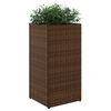 Product Thumbnail Image 4 of 10