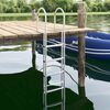 vidaXL 5-Step Dock Ladder Silver 45 &times;11.5 &times;190 cm Aluminum