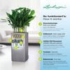 LECHUZA Planter CANTO Stone 30 High ALL-IN-ONE Stone Grey