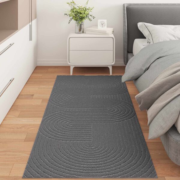 vidaXL Area Rugs Rectangular Anthracite 200 x 80 cm