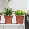 Product Thumbnail Image 2 of 10