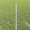 Product Thumbnail Image 4 of 16