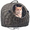 Product Thumbnail Image 2 of 8