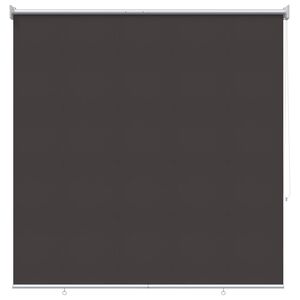 vidaXL Outdoor Roller Blind UV Protection Anthracite