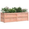 vidaXL Garden Planter 150x50x50 cm Solid Wood Douglas