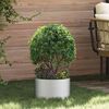 Product Thumbnail Image 2 of 10