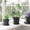 Product Thumbnail Image 4 of 9