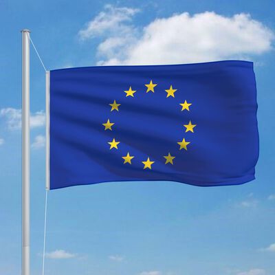 vidaXL Europe Flag 90x150 cm