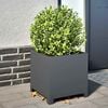 Product Thumbnail Image 2 of 10