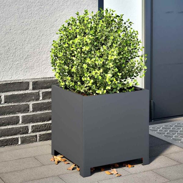 Showing Product Image 2 of 10