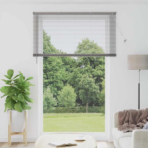 vidaXL Venetian Blinds Height Adjustable Silver 220 x 140 cm Aluminium