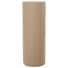 vidaXL Frost Protection Plant Fleece Beige 100 x 3.2 m