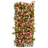 Product Thumbnail Image 4 of 6