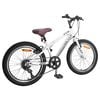 vidaXL Mountain Bike 20'' 6-Speed for 5-8 Years Old White