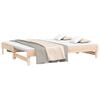 vidaXL Pull-out Day Bed without Mattress 2x(80x200) cm Solid Wood Pine