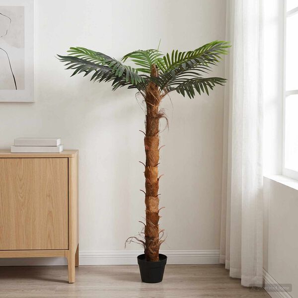 Showing Product Image 2 of 6