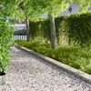 Product Thumbnail Image 2 of 10