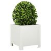 Product Thumbnail Image 4 of 12
