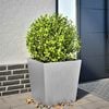 Product Thumbnail Image 2 of 11