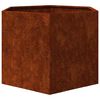 Product Thumbnail Image 6 of 12