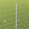 Product Thumbnail Image 4 of 7