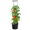 vidaXL Tomato Grower Anthracite &Oslash;39x150 cm Polypropylene