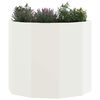 Product Thumbnail Image 3 of 10