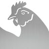 Product Thumbnail Image 3 of 6