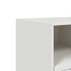 vidaXL TV Cabinet White 99x39x44 cm Steel