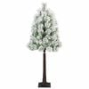 Product Thumbnail Image 5 of 13